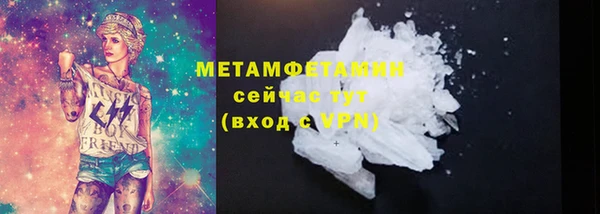 прущие грибы Бородино