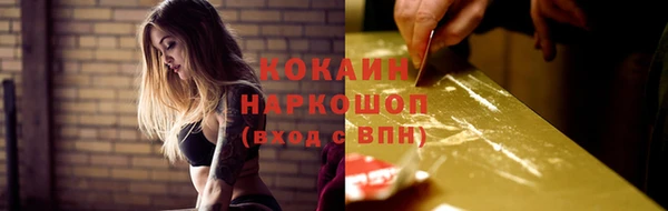 прущие грибы Бородино