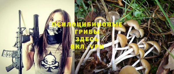 бошки Бугульма