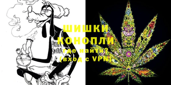 прущие грибы Бородино
