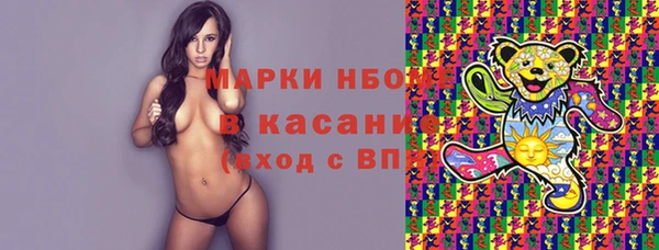 прущие грибы Бородино