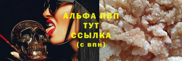 прущие грибы Бородино