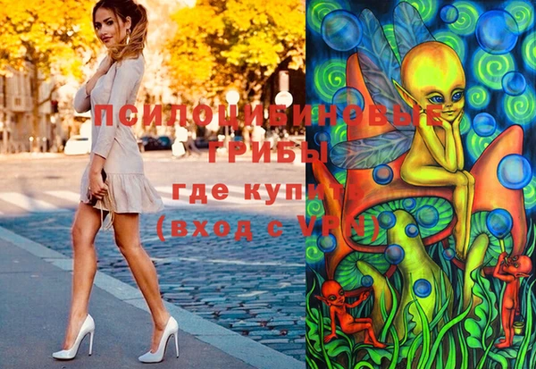 прущие грибы Бородино